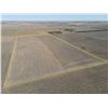 Image 9 : 80 +/- Acres Dryland
