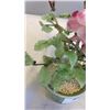 Image 3 : 2 ORIENTAL JADE TREES