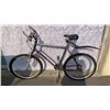 Image 1 : SILVER MILLENIUM BIKE