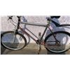 Image 2 : SILVER MILLENIUM BIKE