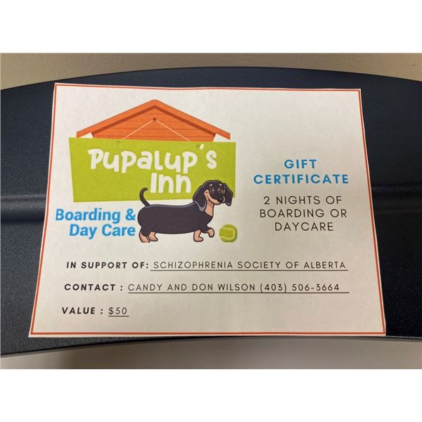 TWO NIGHTS OF OVERNIGHT BOARDING OR DOGGY DAYCARE