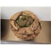 Image 2 : Round Wooden Ball Open-Top Planter 9" Diameter x 7"H
