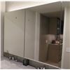 Image 1 : Double Kohler 2943-PG-SAA Catalan Medicine Cabinet Mirror