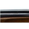 Image 8 : 4+/10, NIKKO, MODEL: 5000, CALIBER:12 G X 2 3/4"