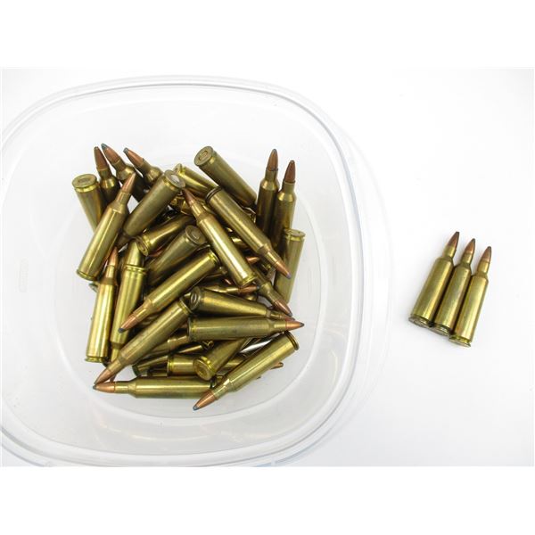 ASSORTED 22-250 REM AMMO