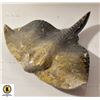 Image 1 : FOSSIL AGATE STONE CARVED STINGRAY STATUE-ESTATE