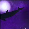 Image 2 : Untitled by Wyland Original