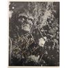 Image 1 : Swamp Thing Dick Durock signed movie photo
