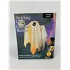 Image 2 : Lot of Halloween Decorations.