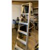 Image 2 : Six Foot Tall Aluminum Ladder With Some Wear Dents and Dings