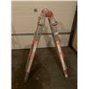 Image 1 : 7ft Little Giant Ladder Collapsible Ladder (Model 10102) and Painters Step Ladder