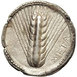 Lucania. Metapontion, c. 530-510 BC. AR Nomos (7.88 g)
