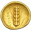 Image 2 : Lucania, Metapontion, c. 330 BC. Gold Third Stater, or Euboic-Attic Tetrobol (2.62 g)