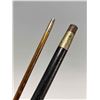 Image 8 : 2 Antique Canes With Ornate Gold Plate Handles