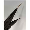 Image 14 : 2 Antique Umbrellas With Sterling Silver And Horn Handles