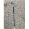 Image 1 : Cane