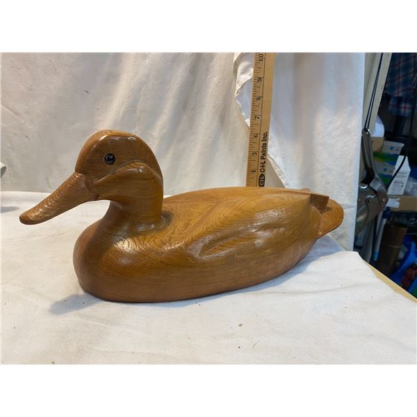 Wood duck
