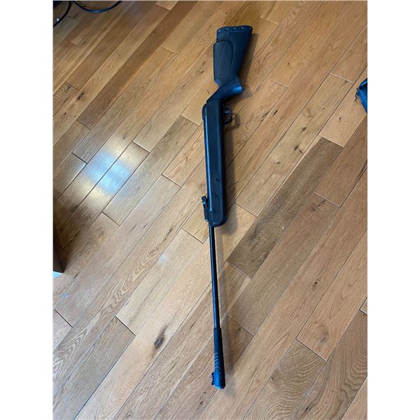 Pellet gun grizzly