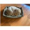 Image 1 : Perfect pet add batteries and it looks like a real dog sleeping
