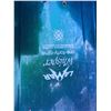 Image 2 : Snow board