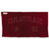 Image 2 : [John F. Kennedy] Harvard University Class of 1940 Banner