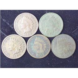 5-1900's Indian Head Cents