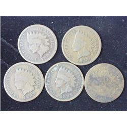 5-1880's Indian Head Cents