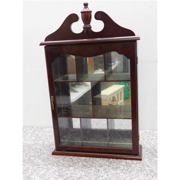 Wooden Curiosity Glass Door Mirror Back 21" x 12" x 4"