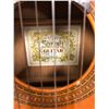 Image 2 : ACOUSTIC GUITAR WITH CASE