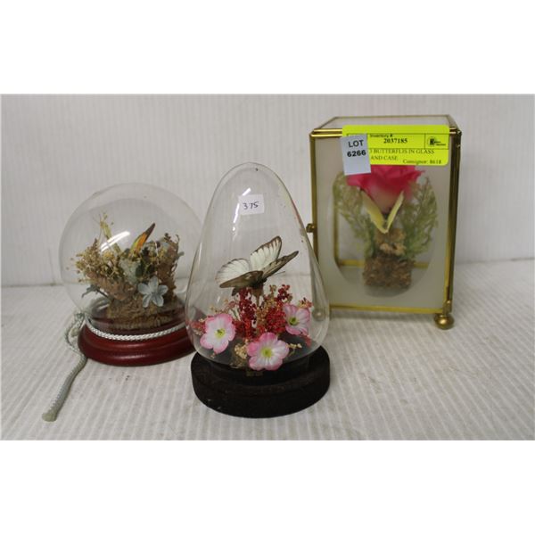 SET OF 3 BUTTERFLIS IN GLASS DOMES AND CASE