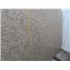 Image 2 : Amarillo Napoli Polished 10' x 6' Granite Slab