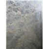 Image 2 : Cello Polished 8 1/2' x 6 1/2' Granite Slab