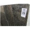 Image 2 : Coffee Brown 10' x 6' Granite Slab
