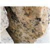 Image 2 : Giallo Fiorite 10' x 3' Cut Granite