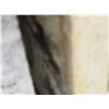 Image 2 : Delicious Gold 10' x 4' Granite Slab