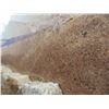 Image 2 : Tan/Black Granite Slab Approx. 6' x 12'