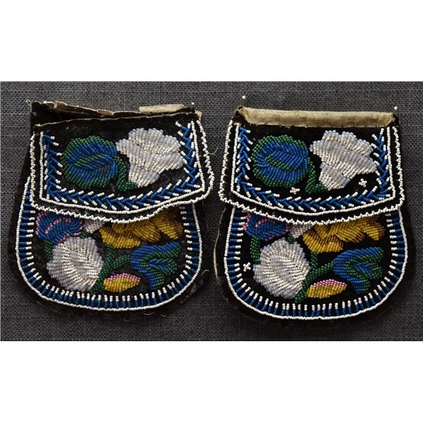 IROQUOIS INDIAN BAG
