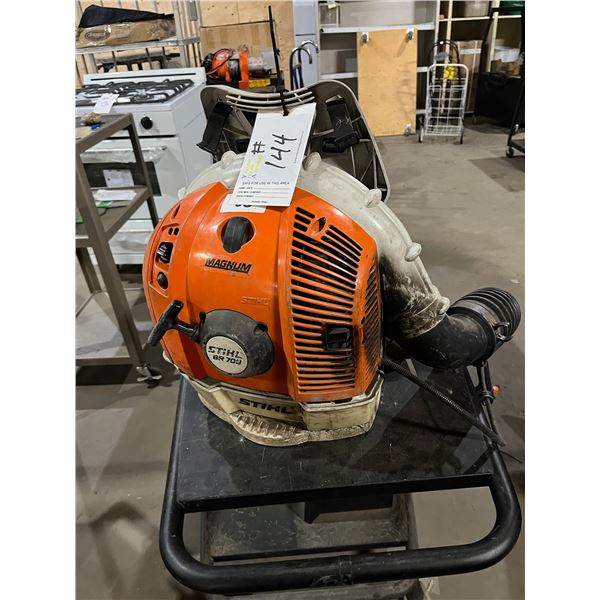 Stihl Backpack Blower