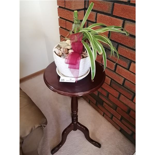 Wooden Side Table 28" Tall With Live Potted Plant