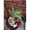 Image 2 : Wooden Side Table 28" Tall With Live Potted Plant