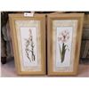 Image 1 : Two Plant Sketch Prints With Great Frames Carol Robinson 11" Wide x 23" Long