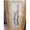 Image 2 : Two Plant Sketch Prints With Great Frames Carol Robinson 11" Wide x 23" Long
