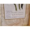 Image 3 : Two Plant Sketch Prints With Great Frames Carol Robinson 11" Wide x 23" Long