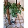 Image 1 : Metal Plant Stand with 2 x Artificial Plants