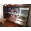 Image 1 : Mirrored Wooden Display Case