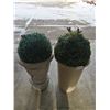 Image 1 : 2 x Potted Artificial Plants
