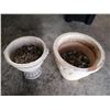 Image 1 : 2 x Planters - Plaster (1) and Ceramic (1)