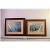 Image 1 : (2) Framed Wildlife Pictures