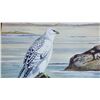 Image 3 : GyrFalcon - White Phase painting by Edgar T. Jones 1'8"x1'4"