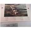 Image 4 : Snow Bird signed picture - double sided - 20 x 16 - 1978